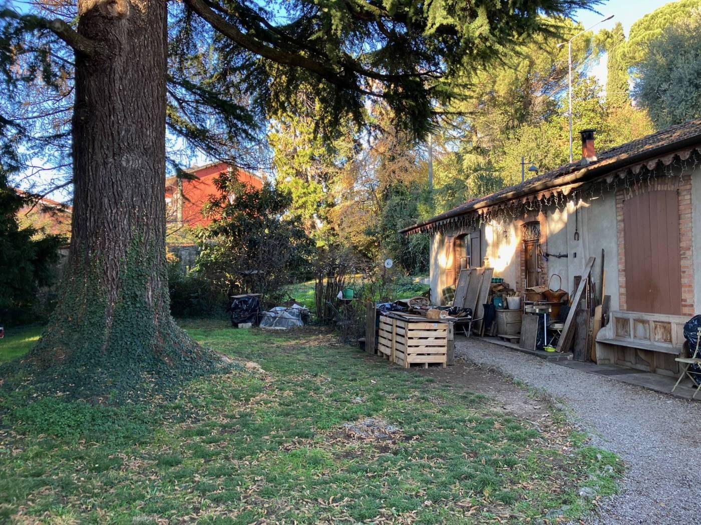 Giardino