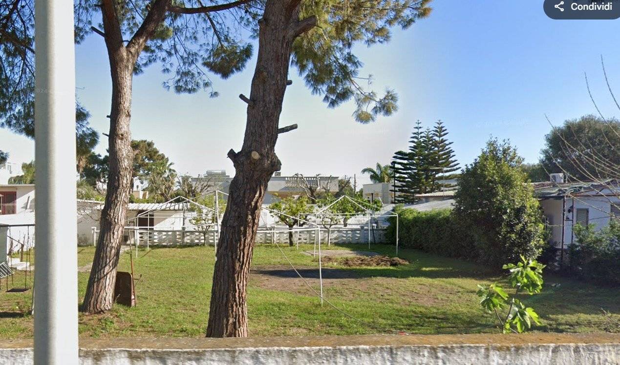 Terreno