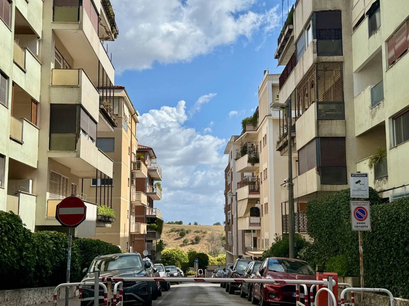 Zona
