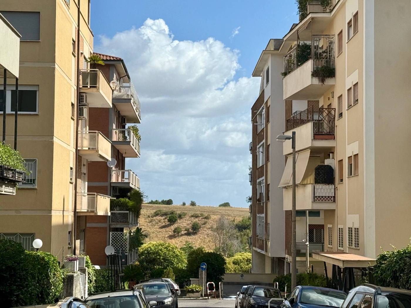 Zona