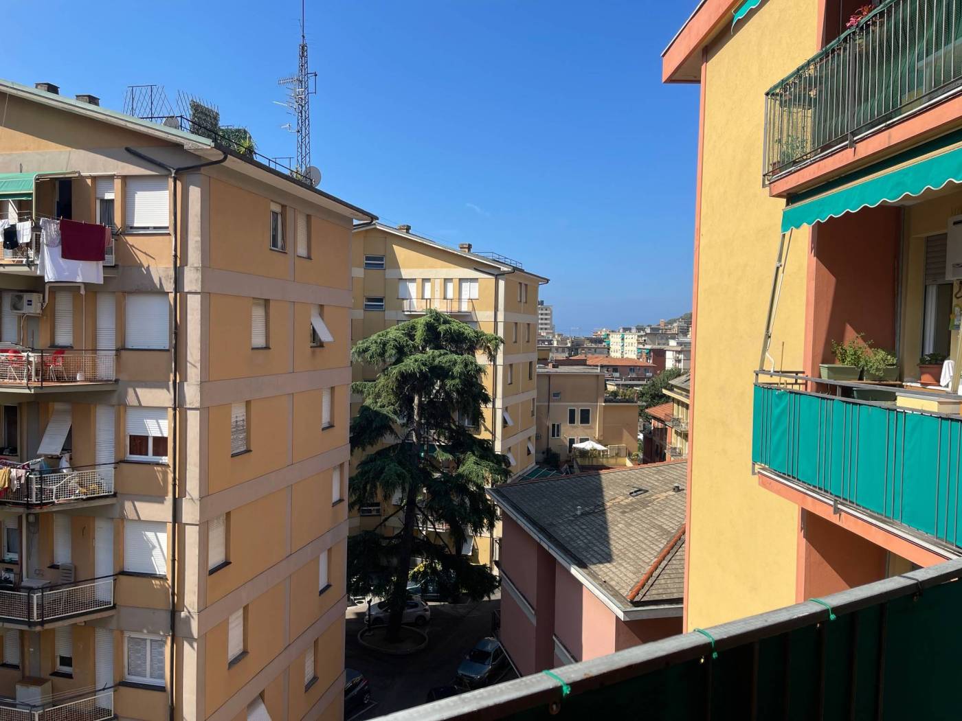 Vista