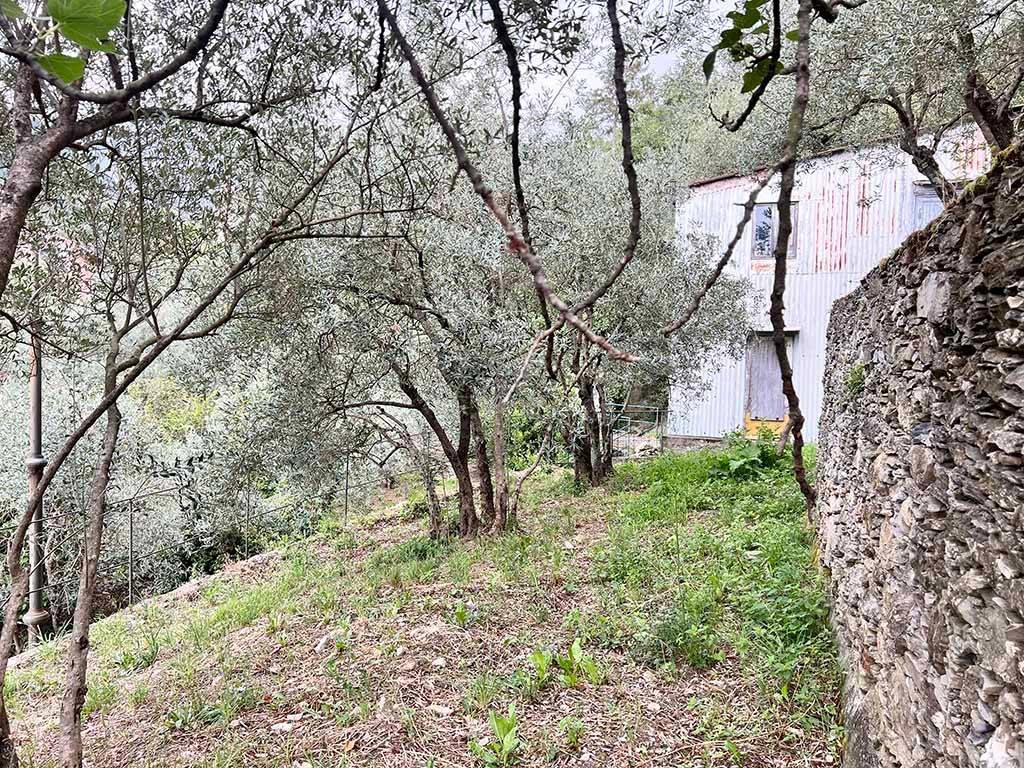 Terreno