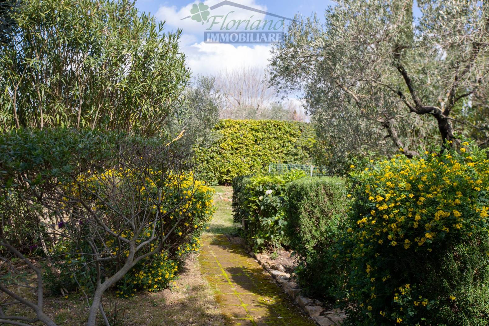 Giardino
