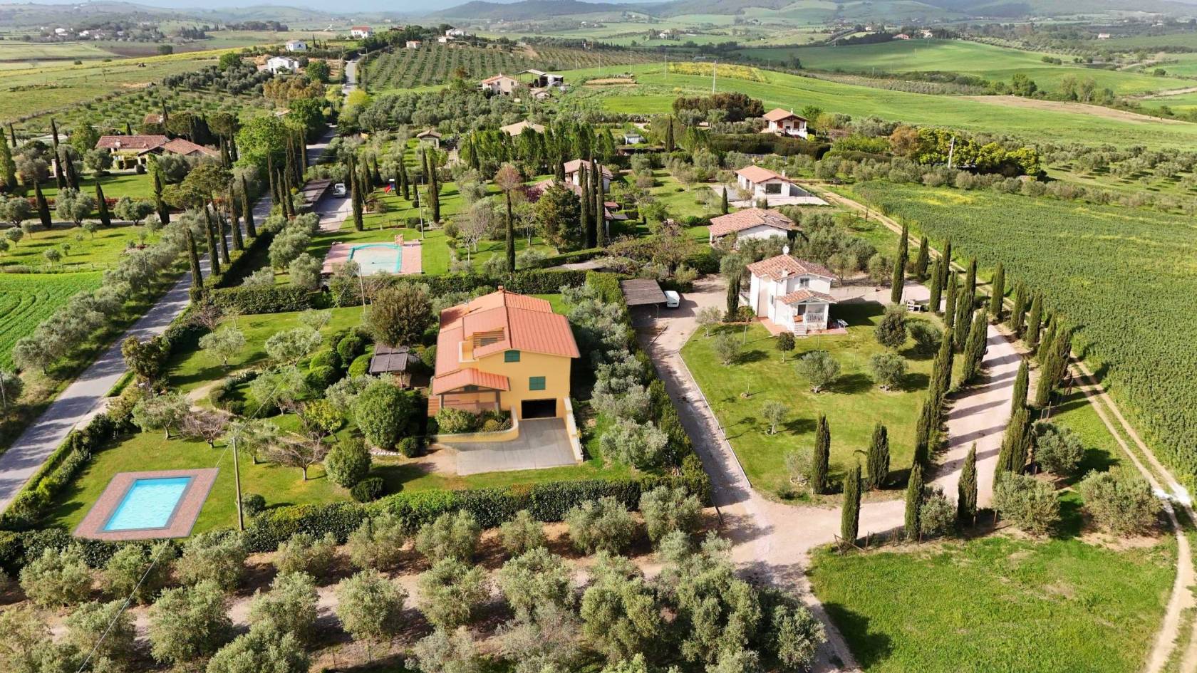 Vista