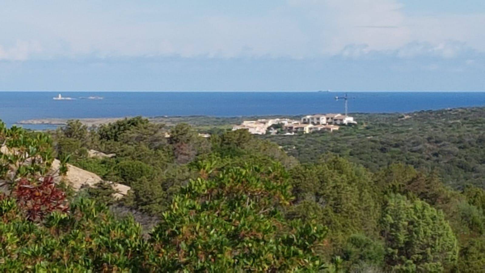 Vista Vista