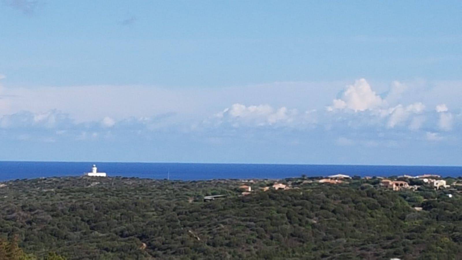 Vista Vista