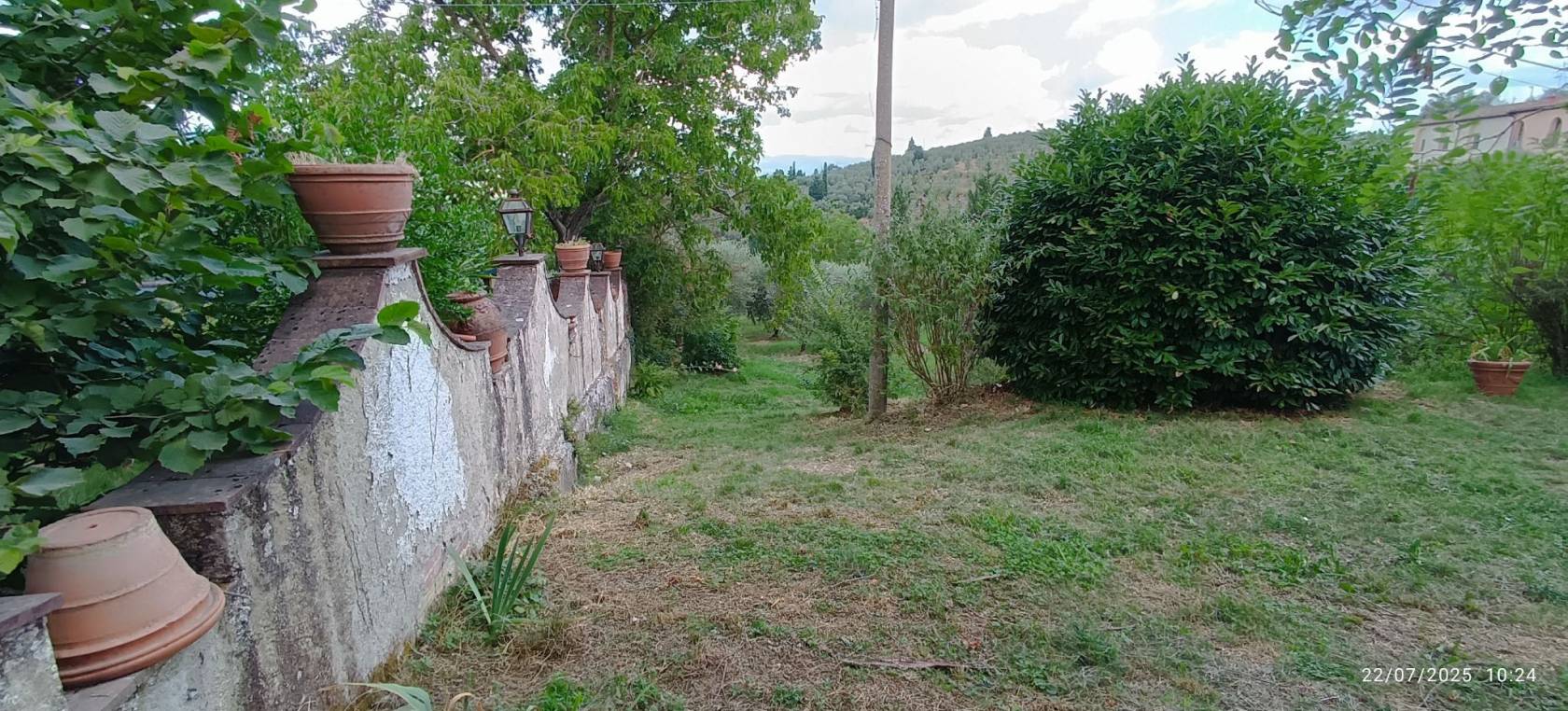 Giardino