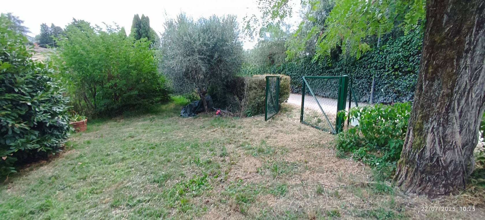 Terreno