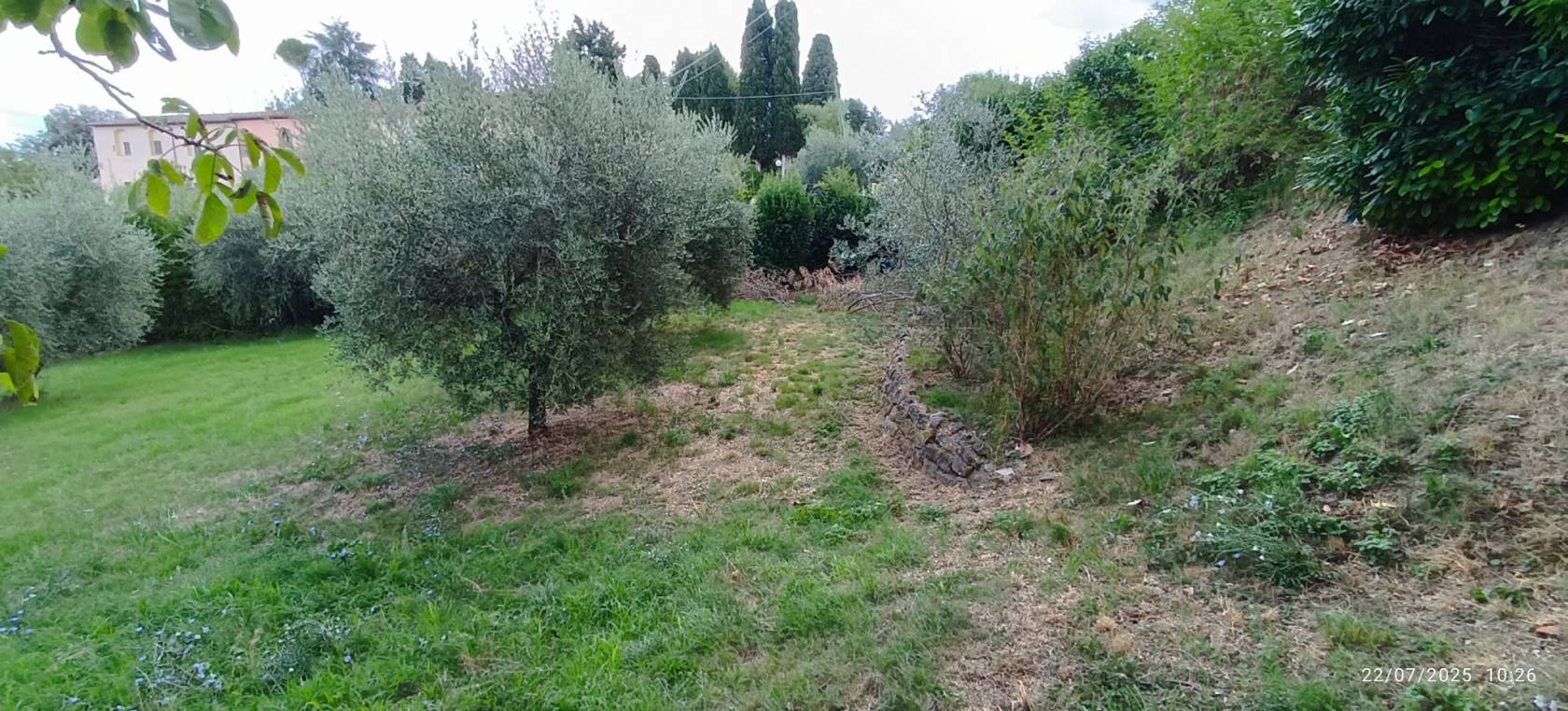 Terreno