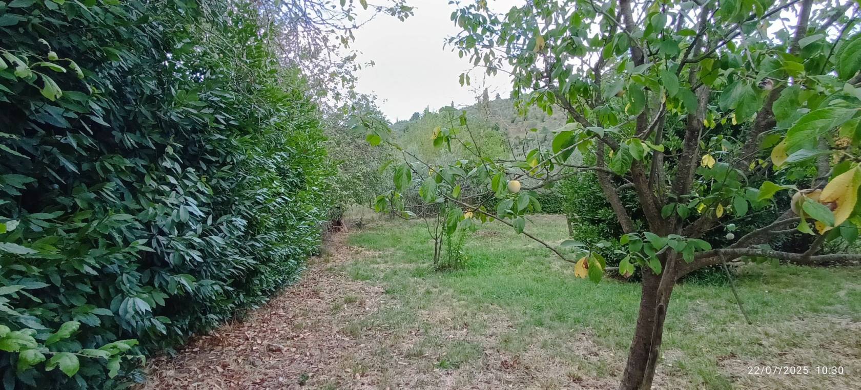 Terreno