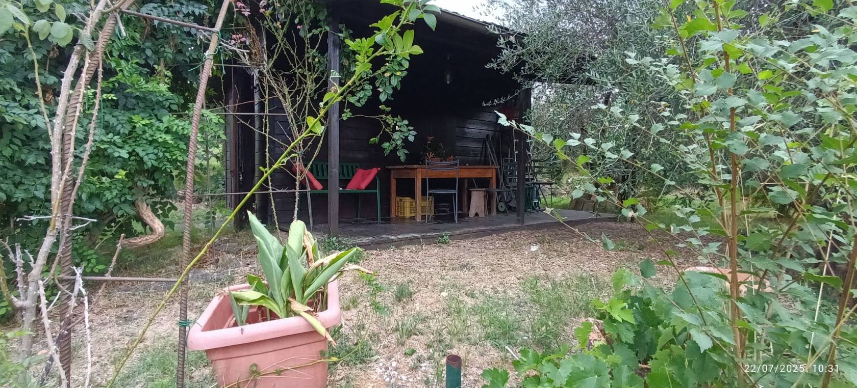 Giardino