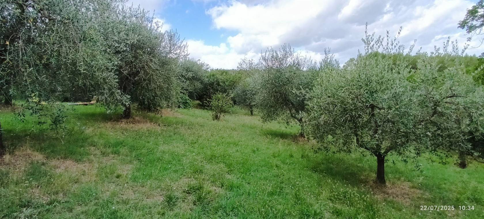 Terreno