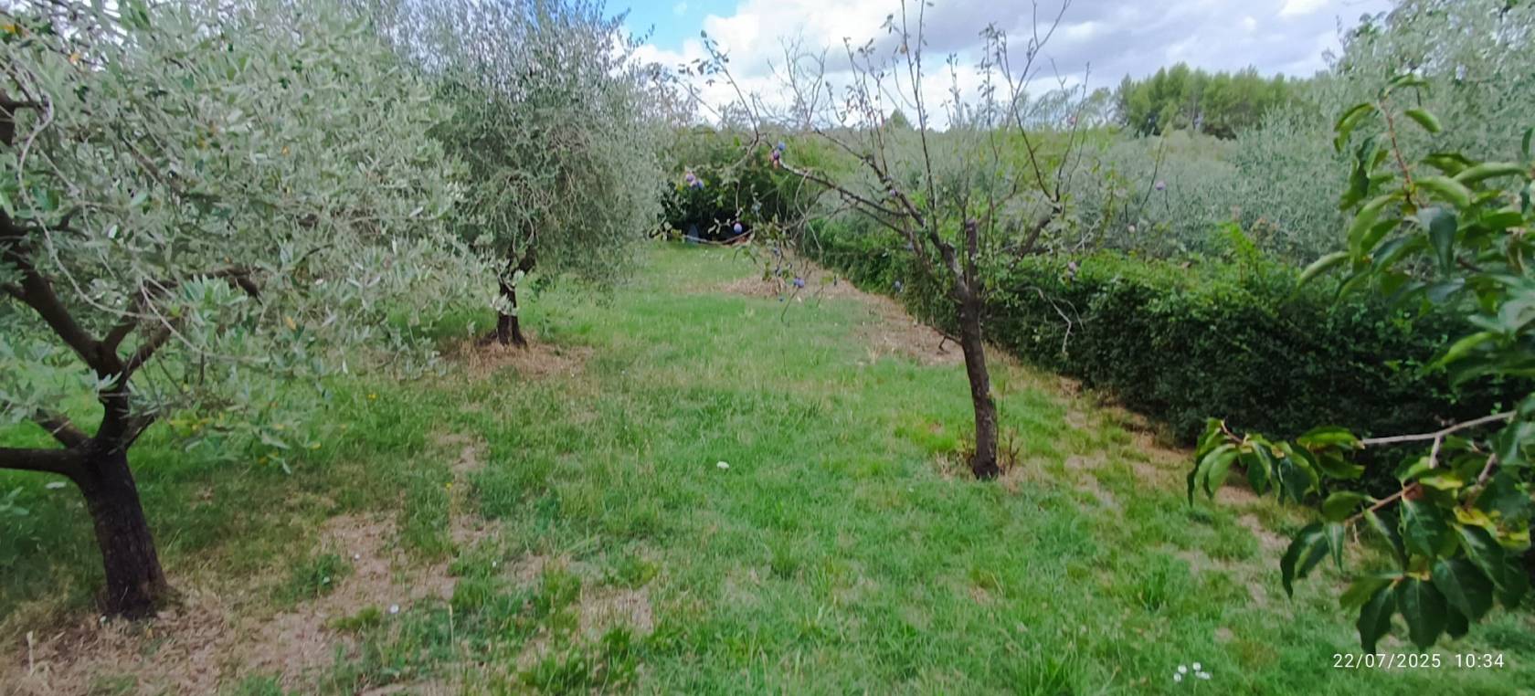 Terreno