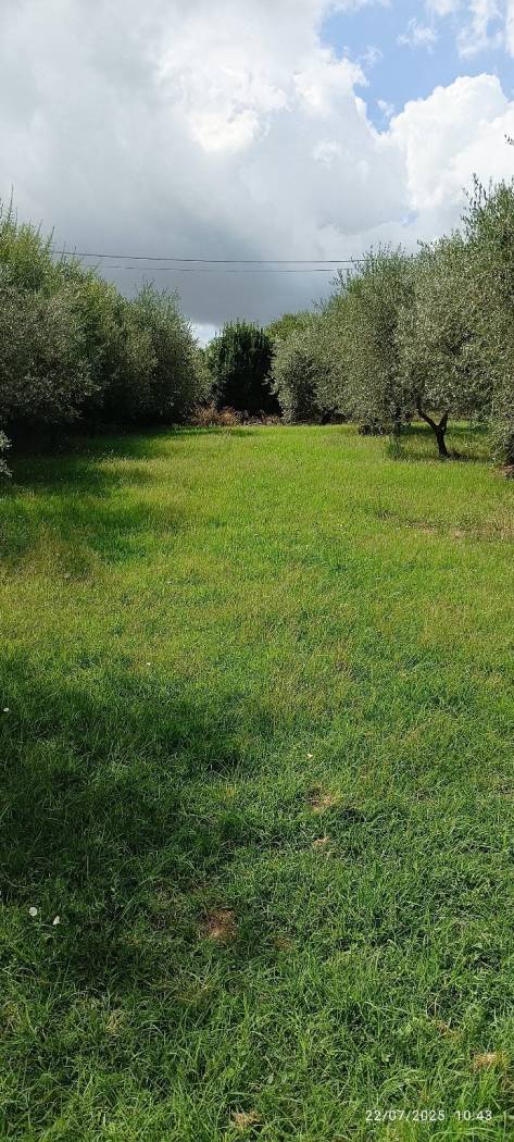 Terreno