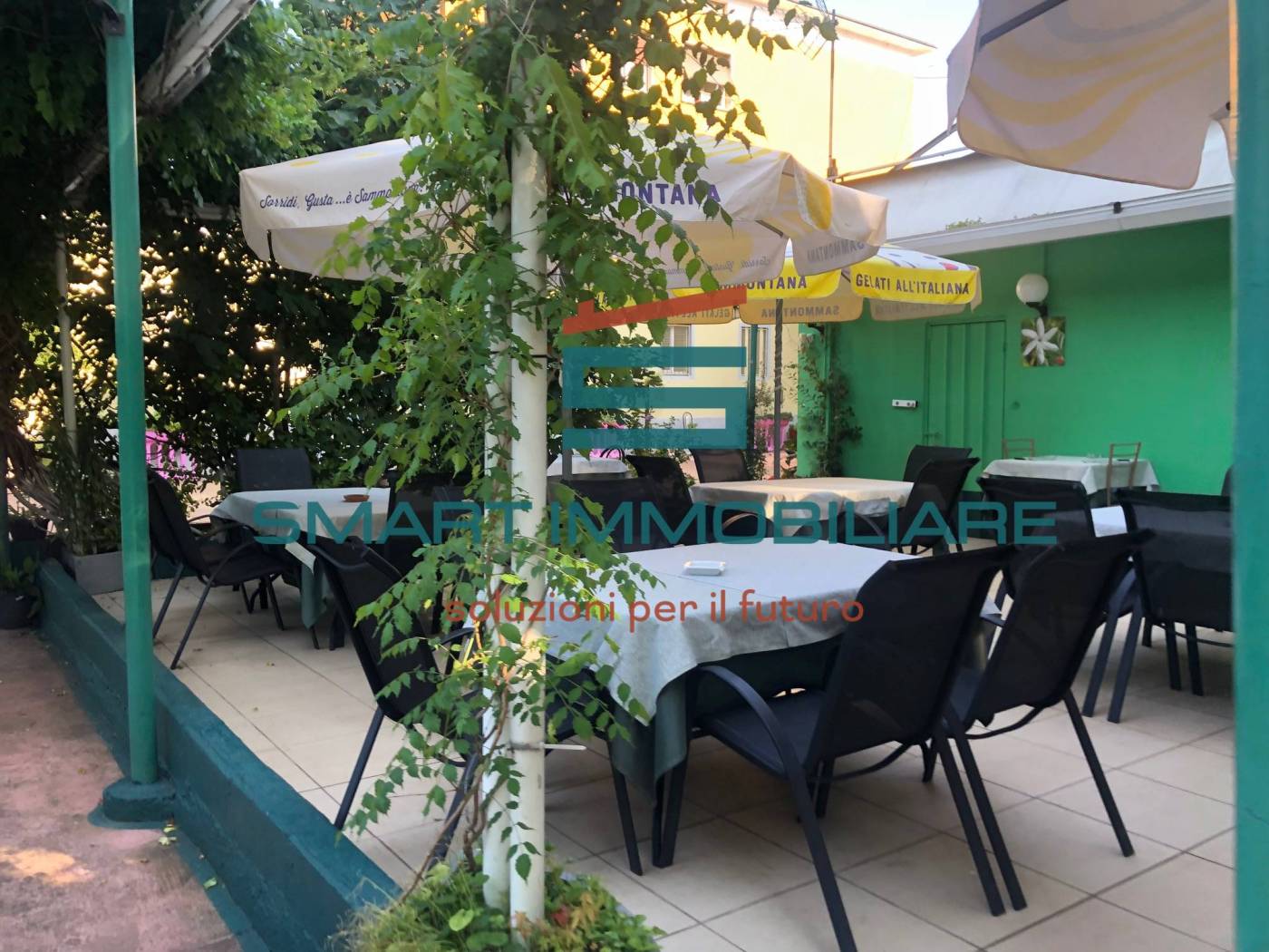 Giardino