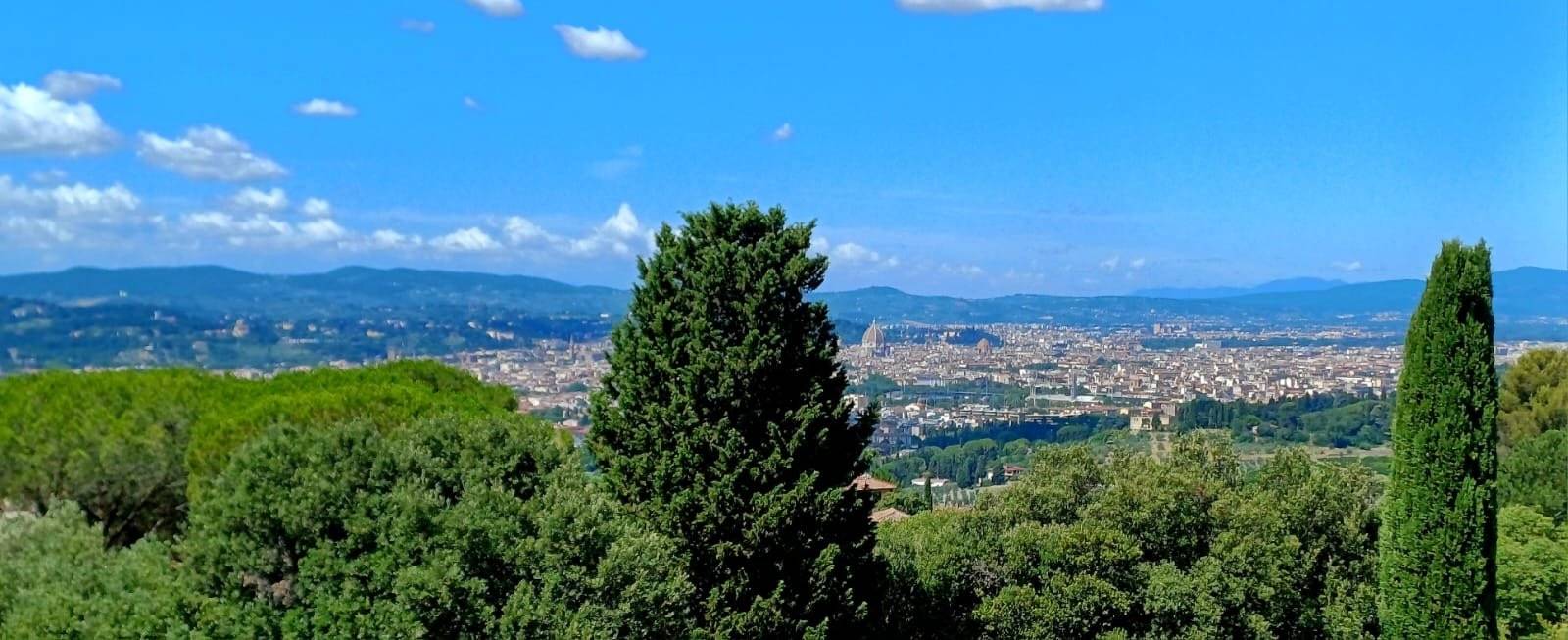 Vista