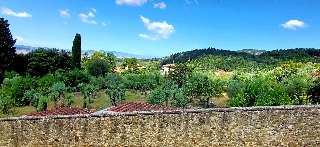 Vista