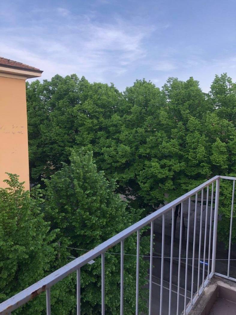 Vista