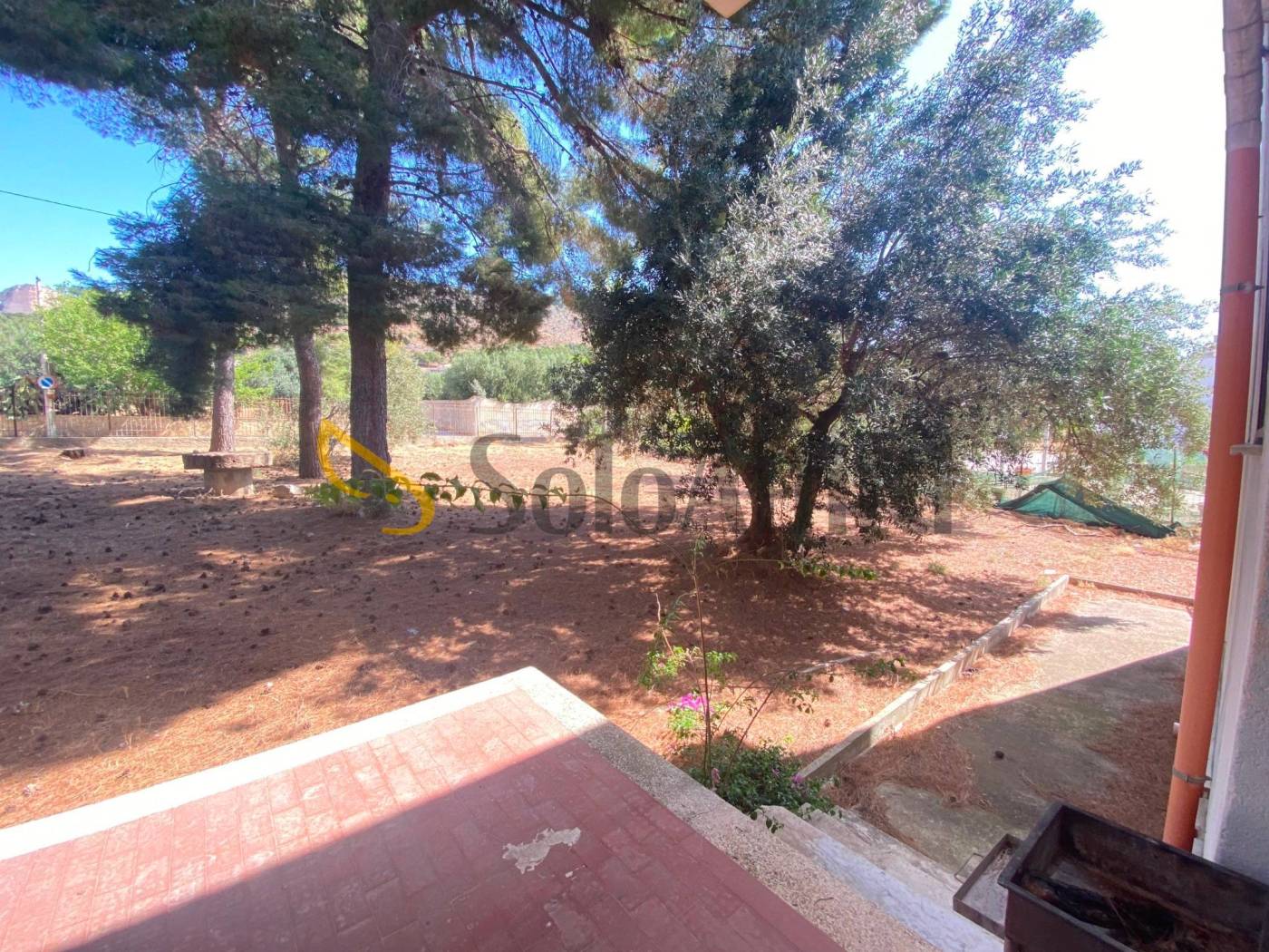 Giardino
