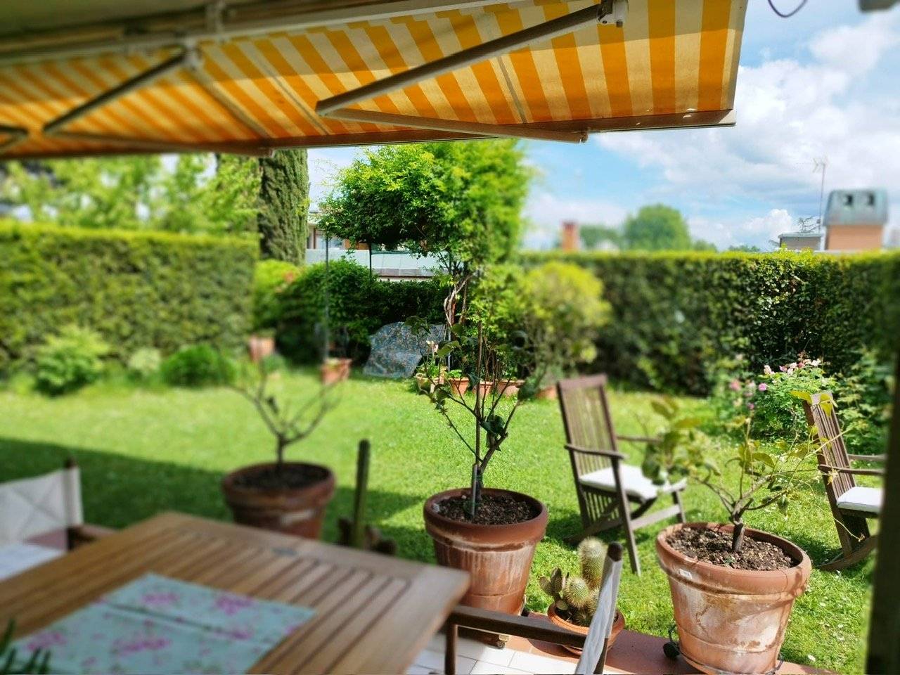 Giardino