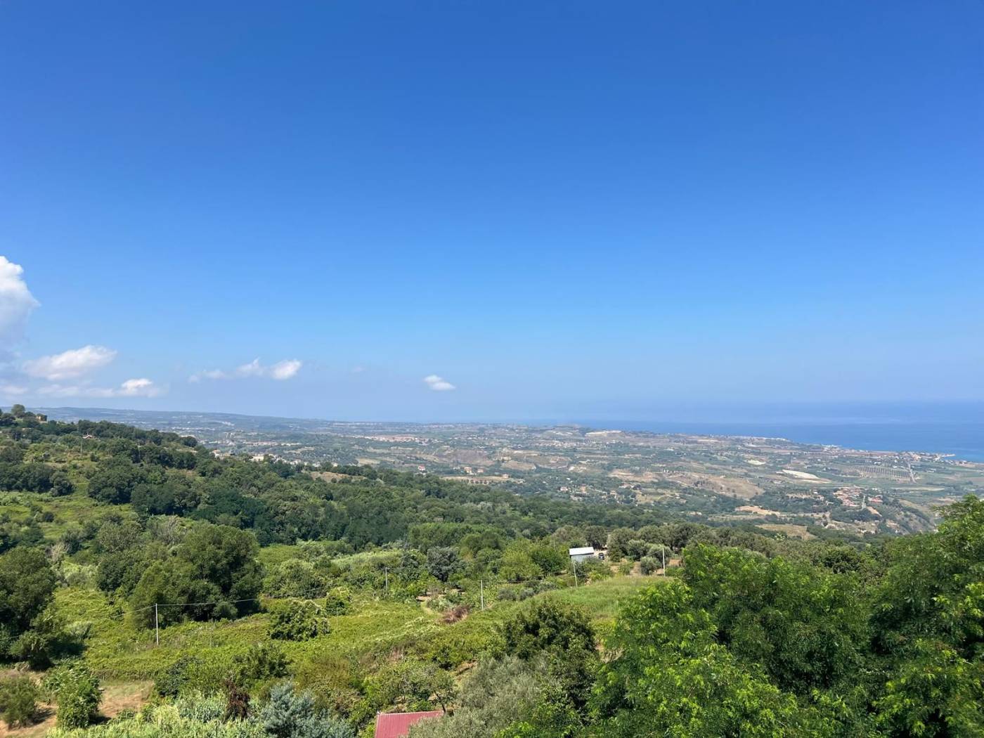 Vista