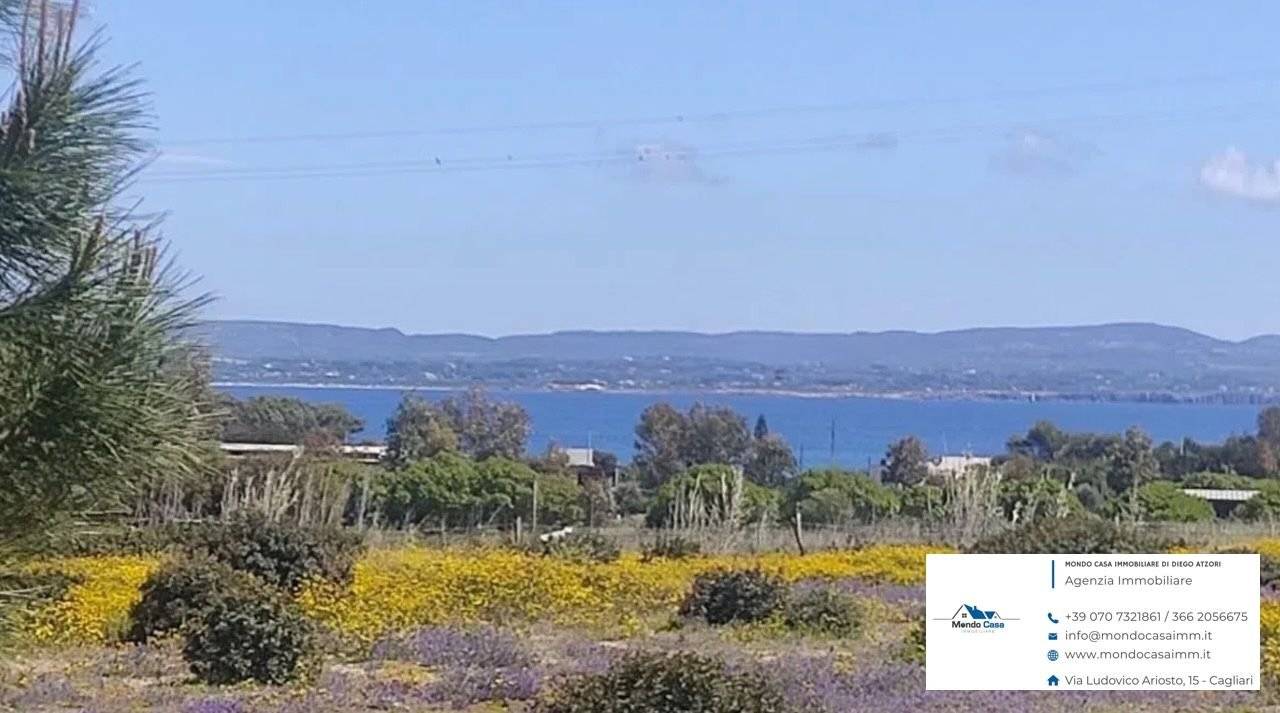 Vista