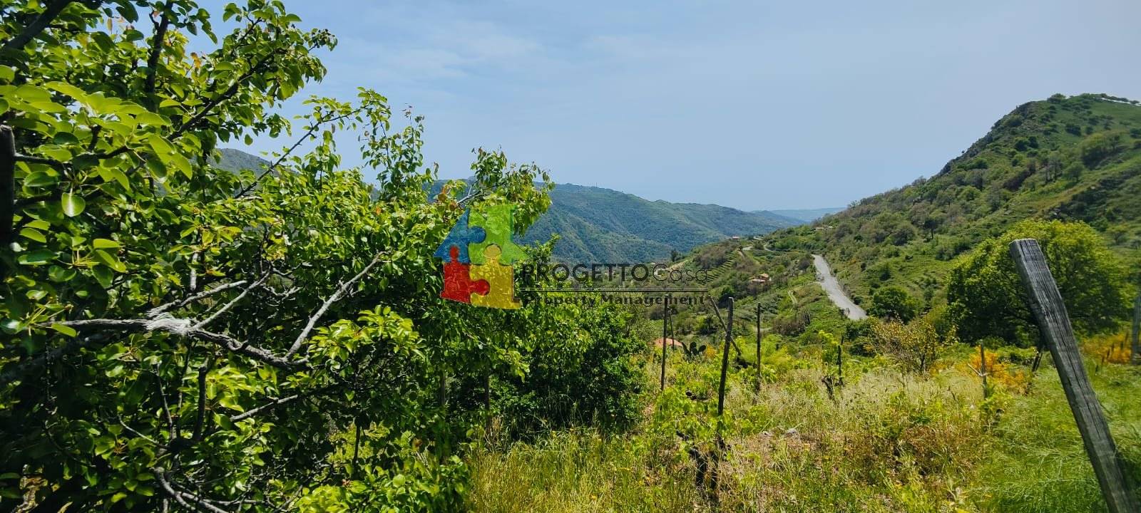 Terreno