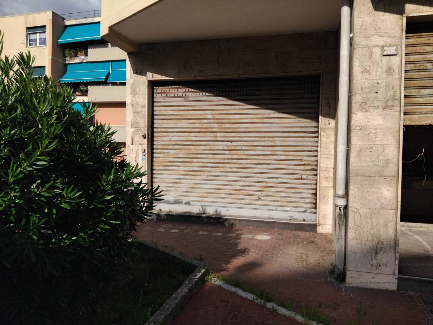 Ingresso