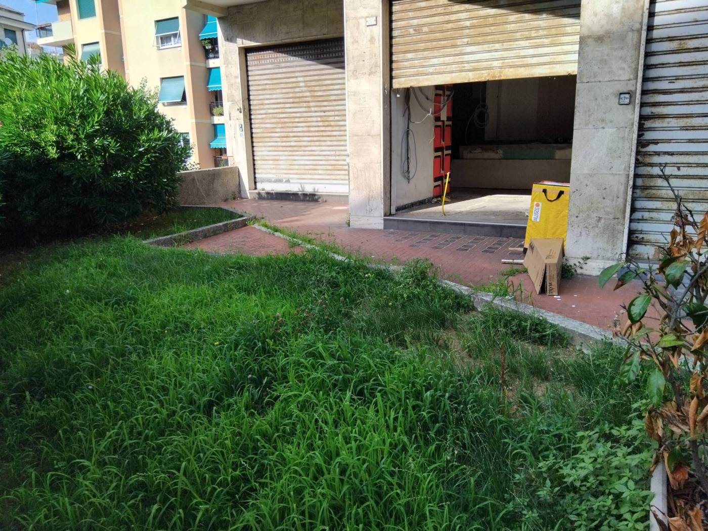 Giardino