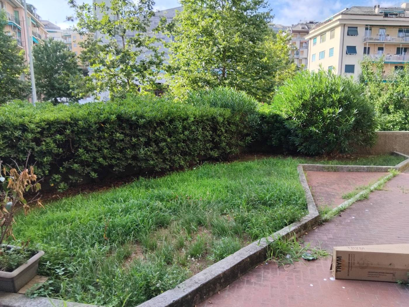 Giardino