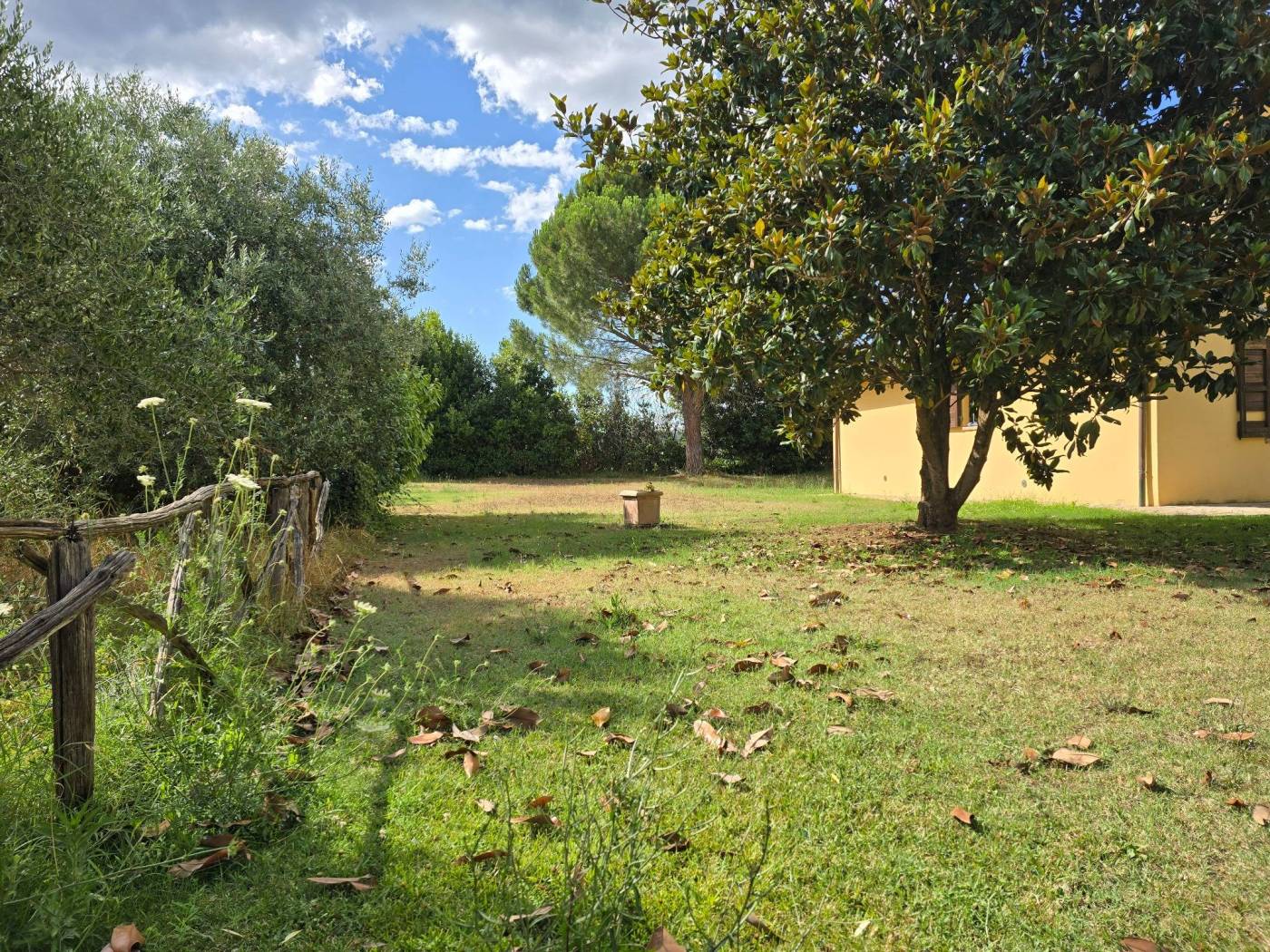 Terreno
