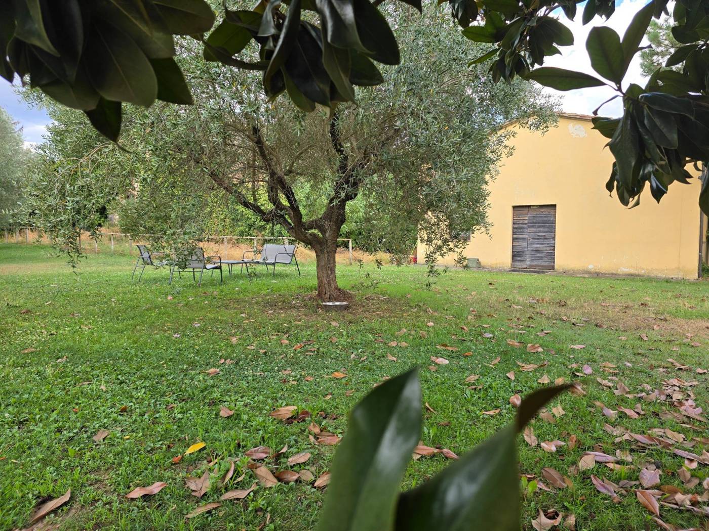 Giardino