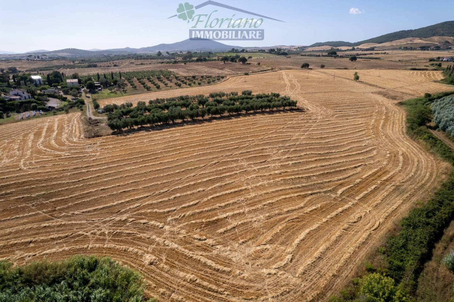 Terreno