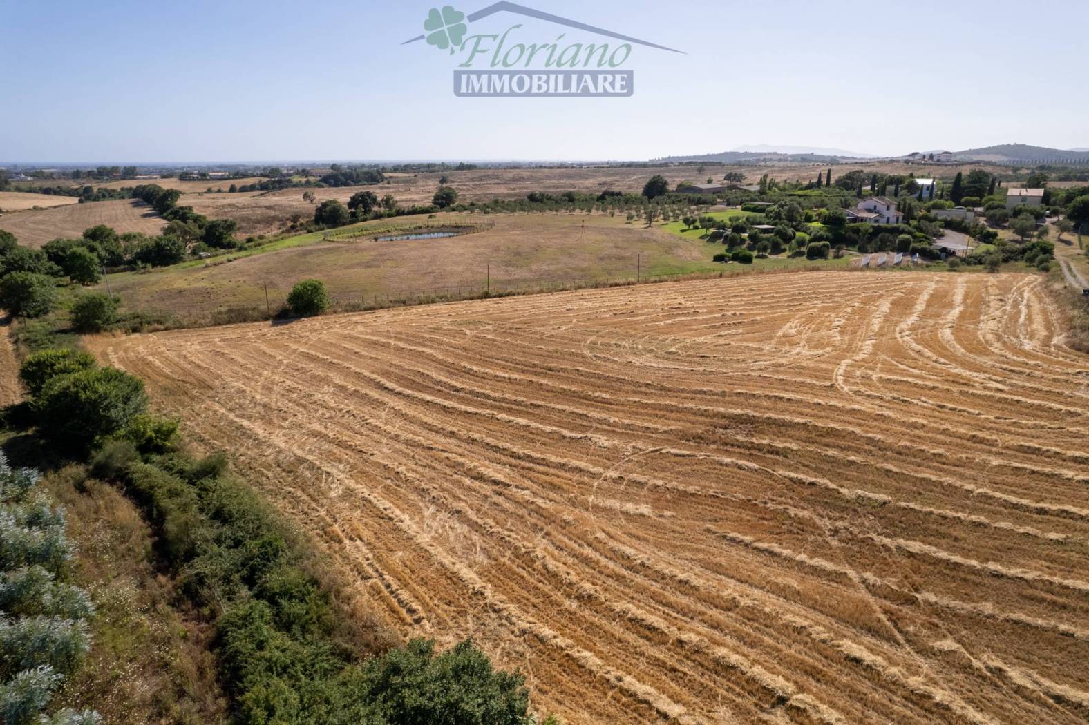Terreno