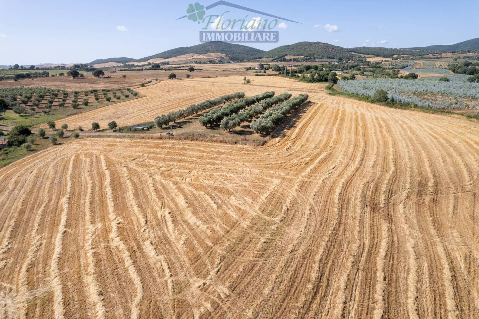 Terreno