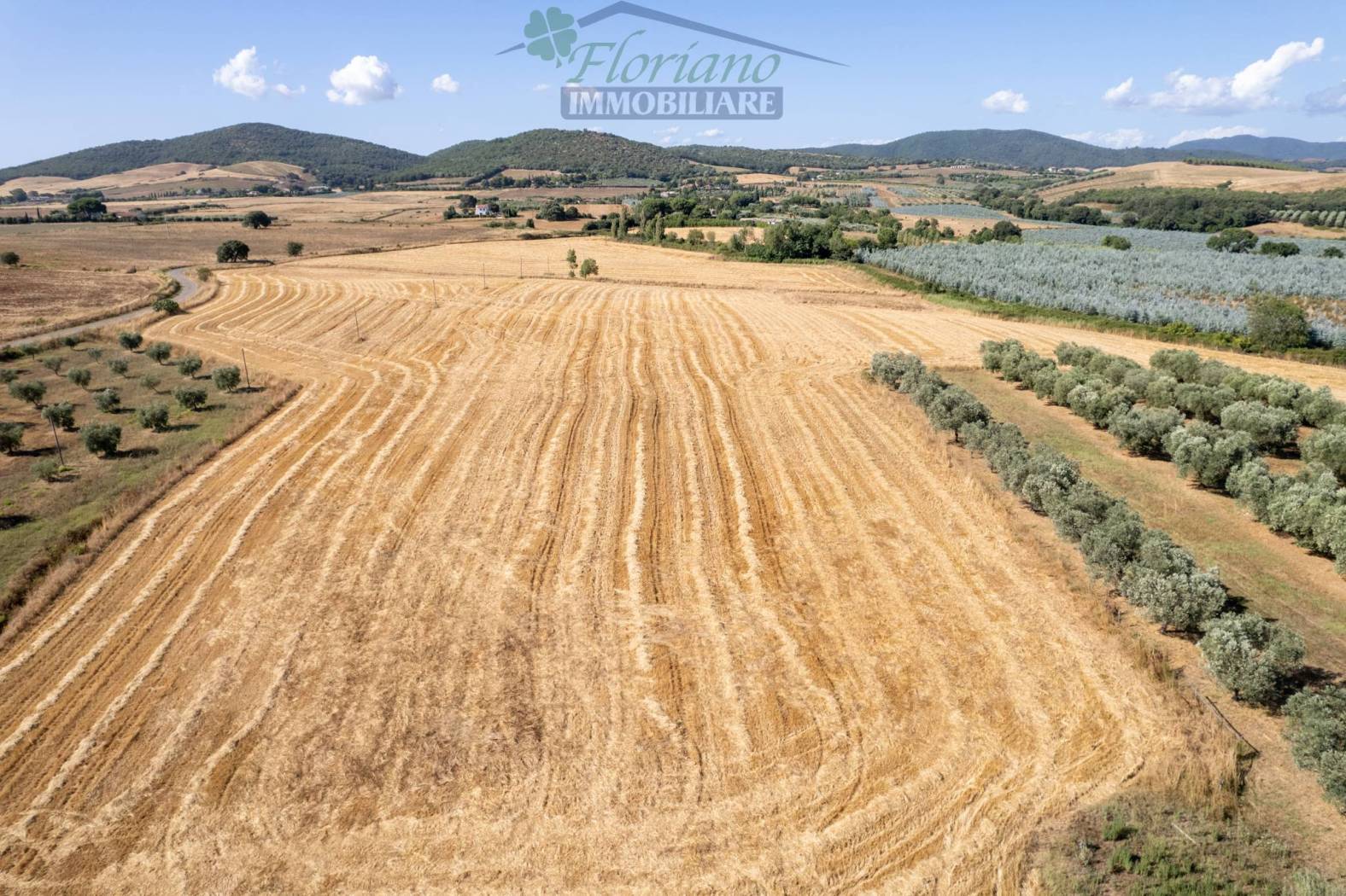 Terreno