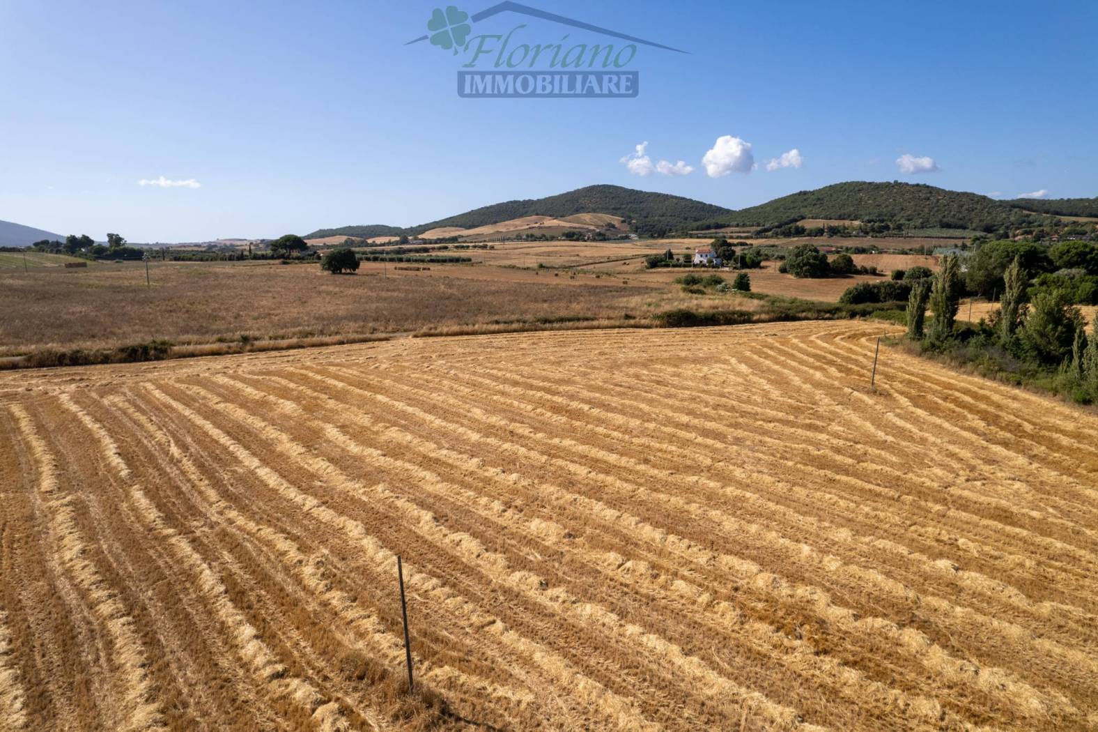 Terreno