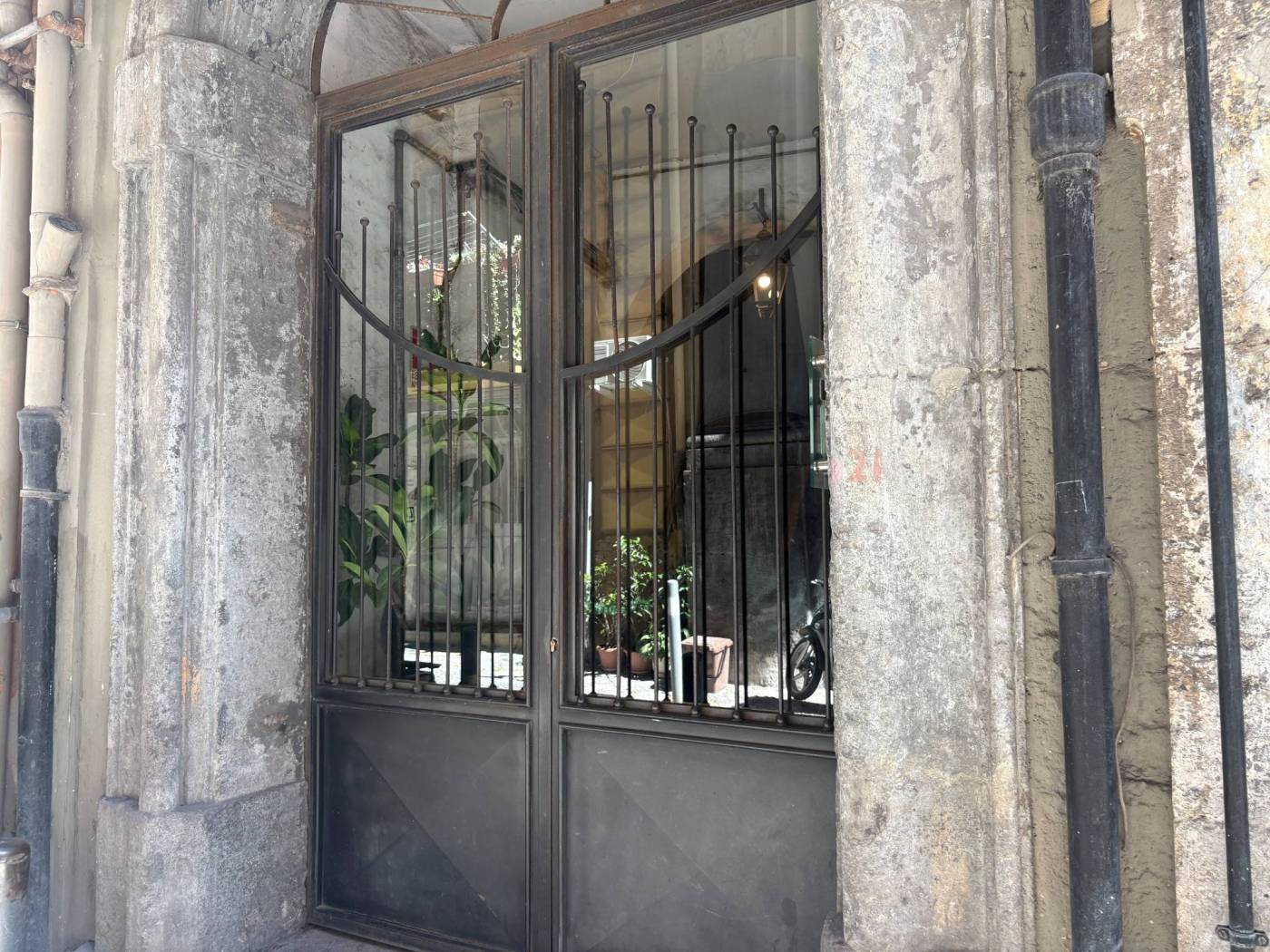 Ingresso