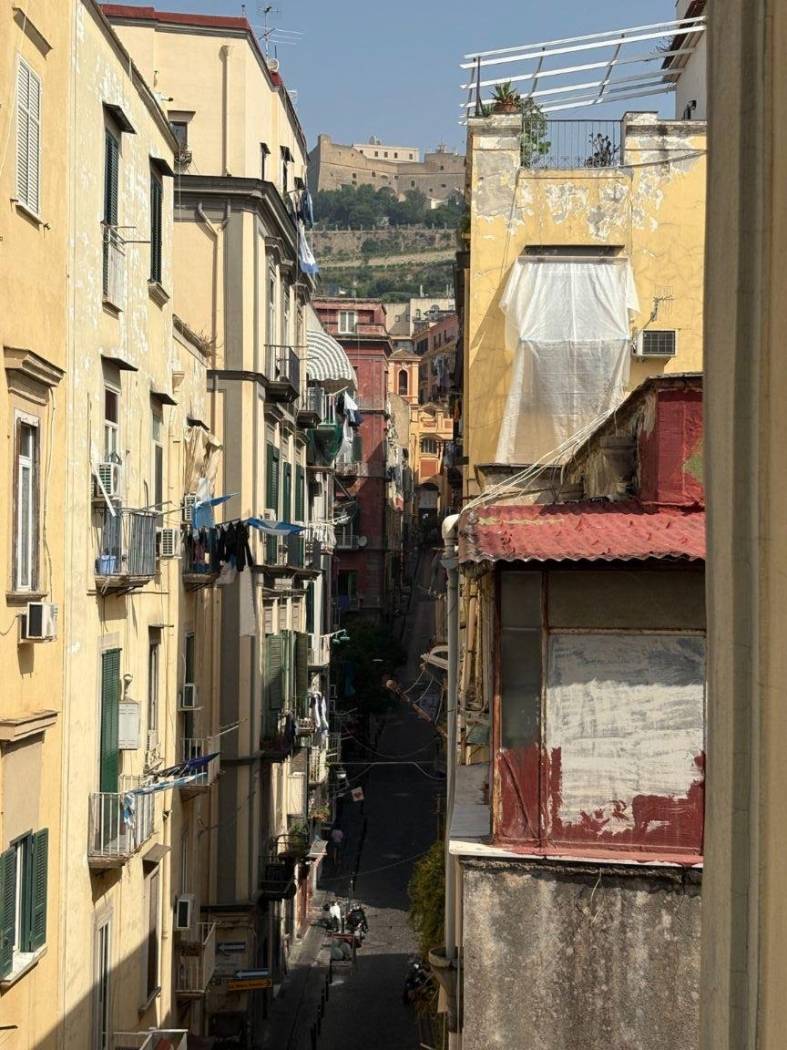 Vista
