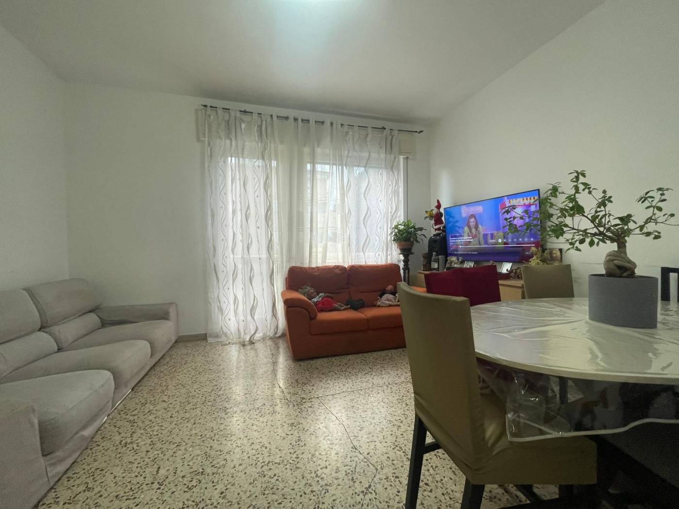 Salone Salone