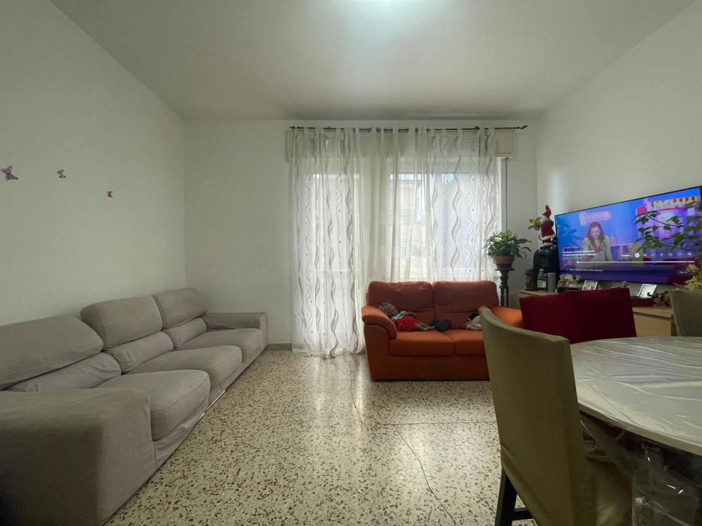 Salone Salone