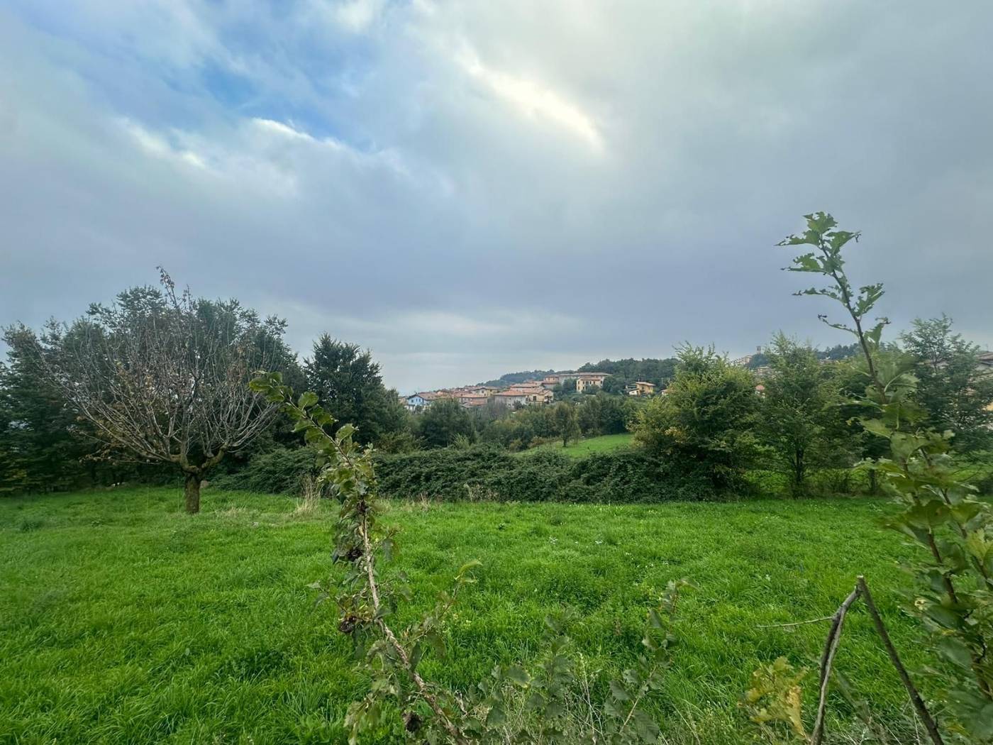 Terreno
