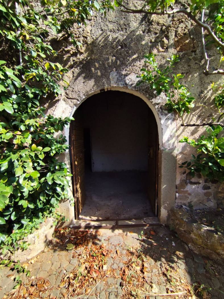 Ingresso