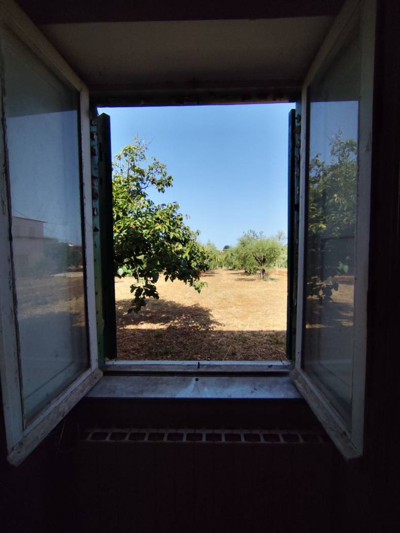 Vista