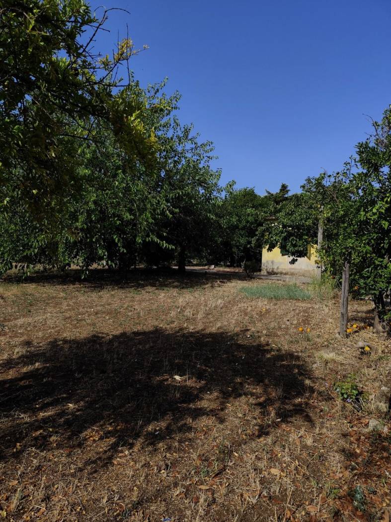 Terreno
