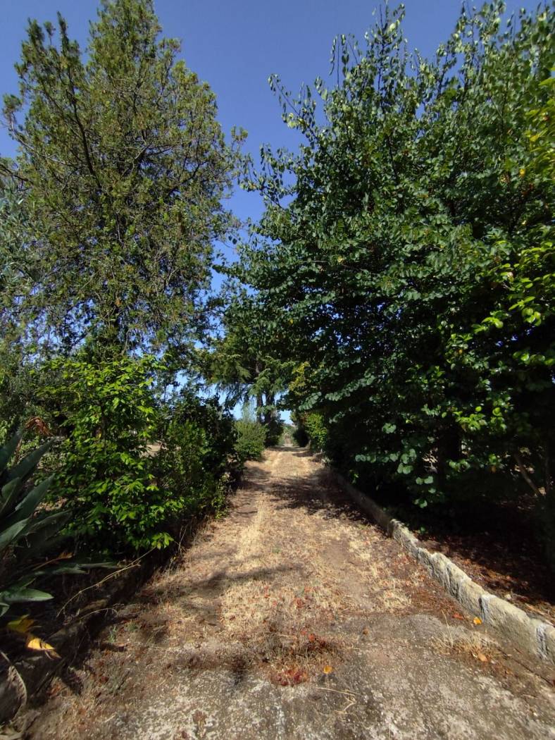 Terreno