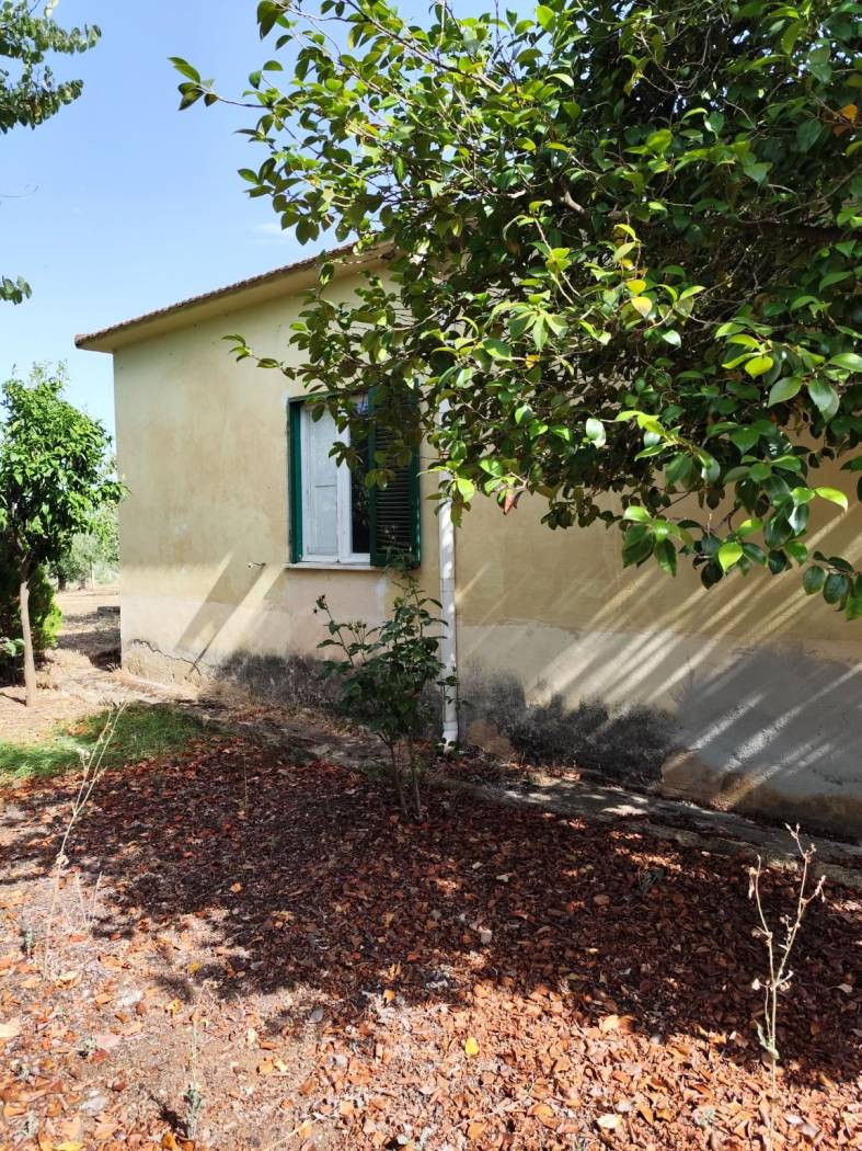 Giardino