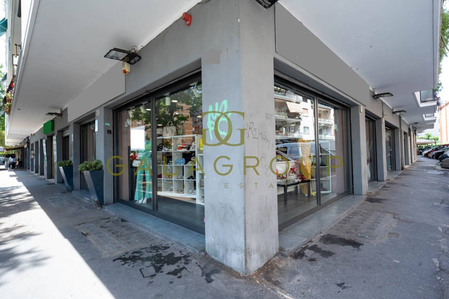 Ingresso