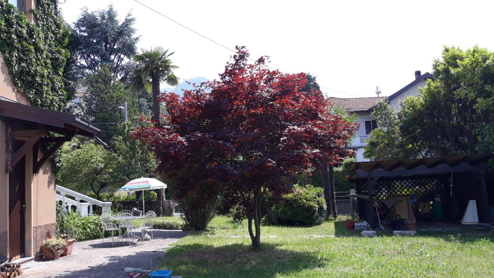 Giardino