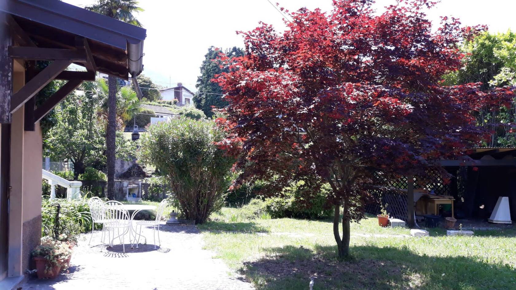 Giardino